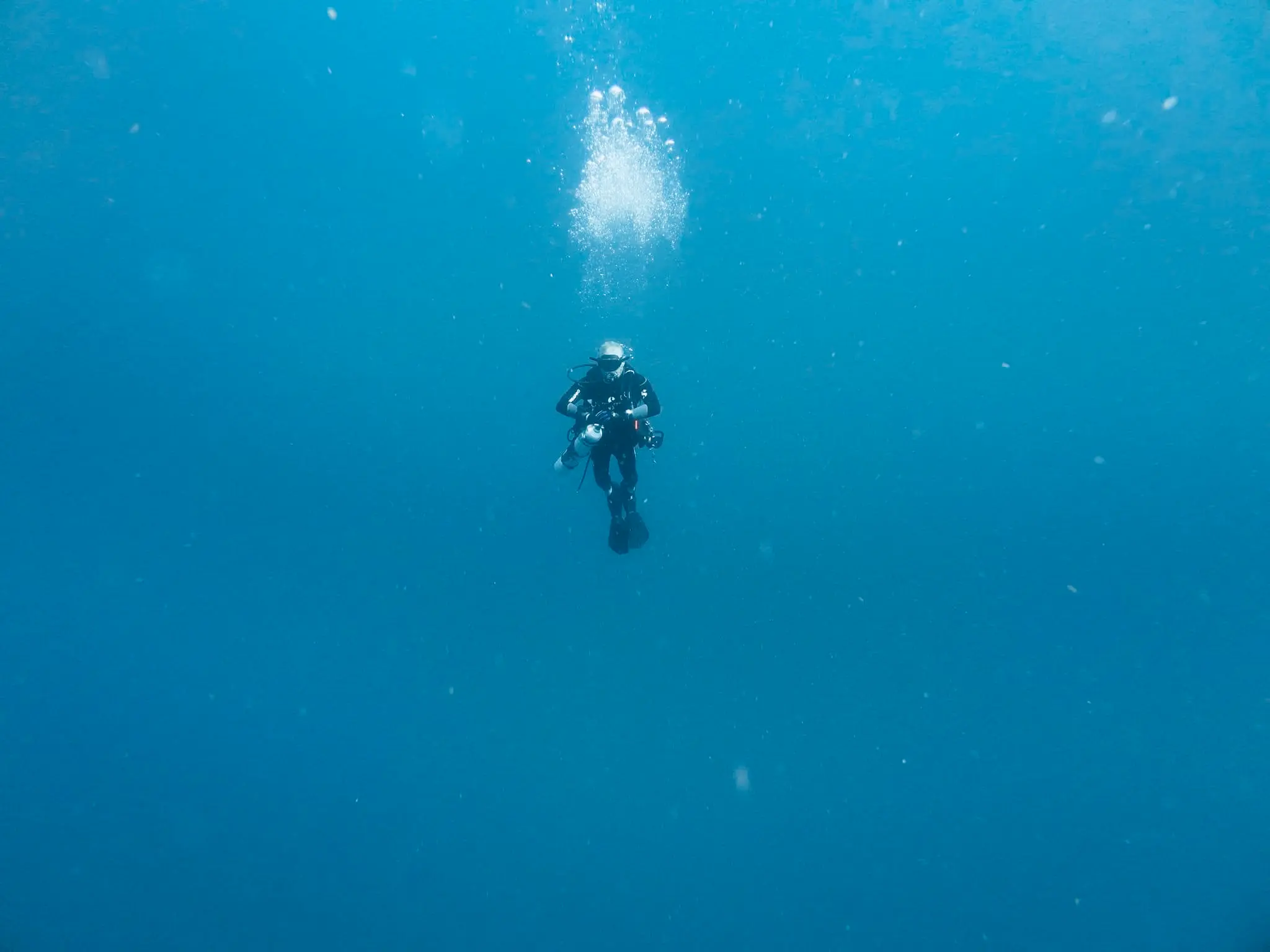 Private diving lessons in Florida