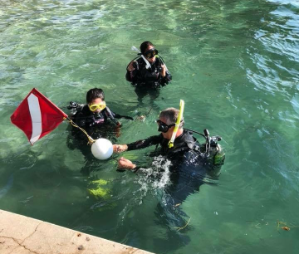Blue Heron Bridge dive site Riviera Beach