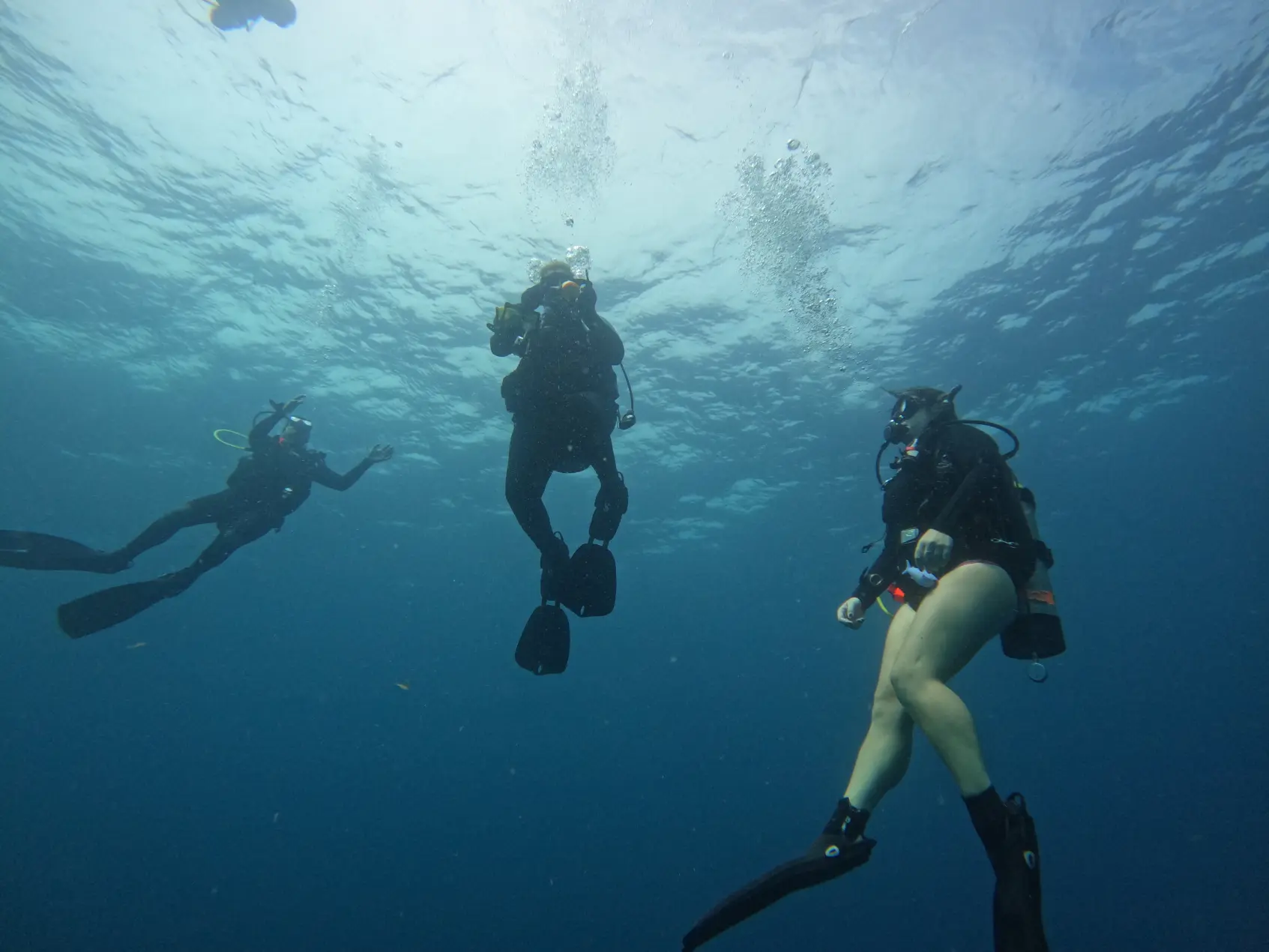 Group dive sessions on the Treasure Coast